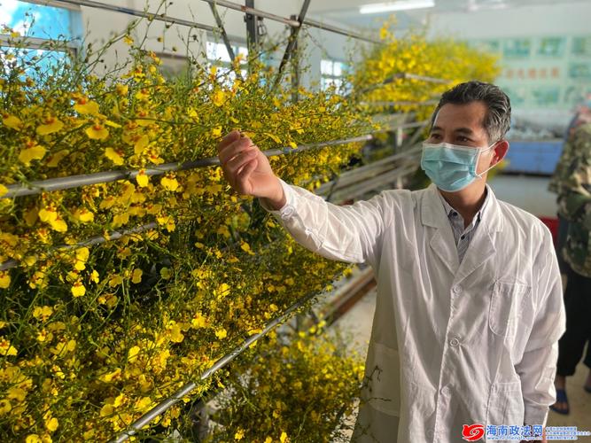 海口海关热带植物隔离检疫中心: 科技推广让农户赚了口袋富了脑袋