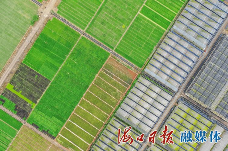科技绘就村美民富好"丰"景